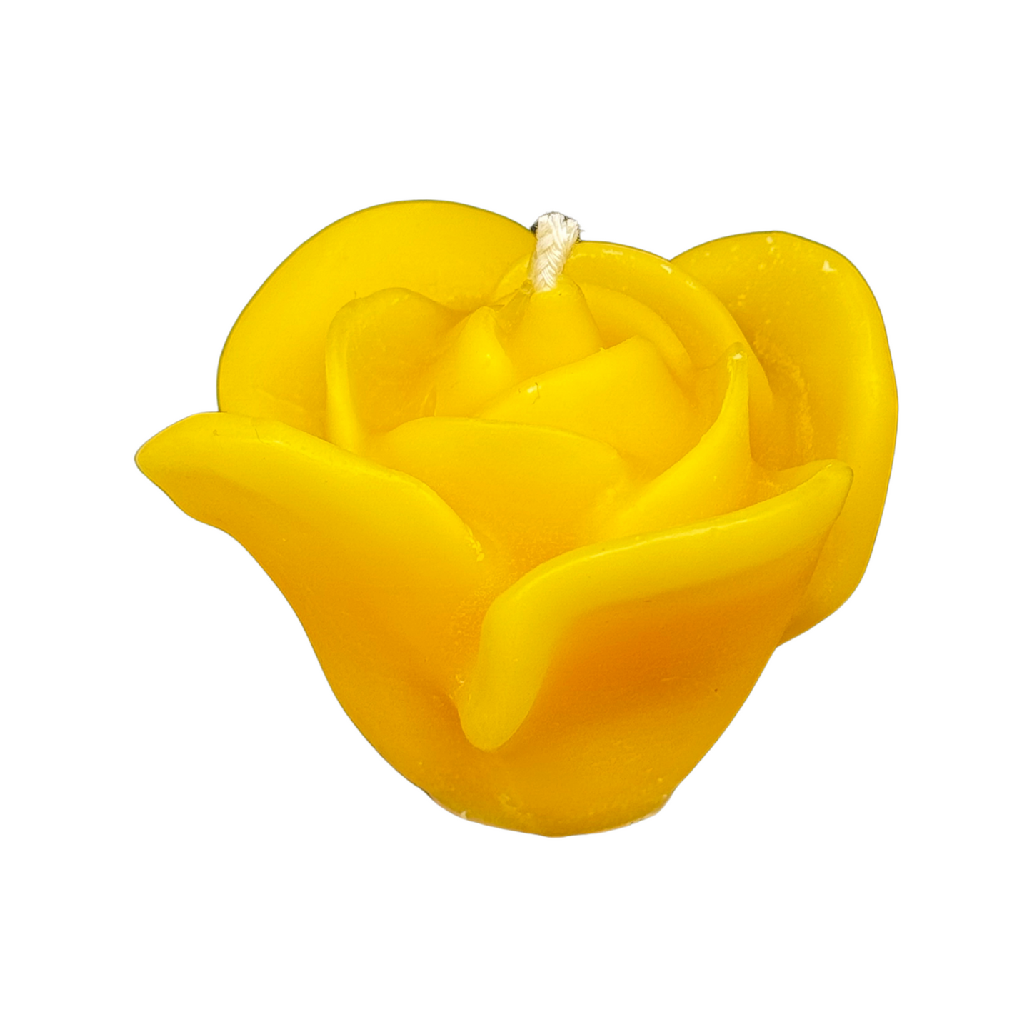 Kerze Rose
