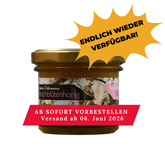 Frisch abgefüllter Kirschblütenhonig im 150g Glas der Imkerei Ostermann. Ab sofort vorbestellen, Versand erfolgt ab 6. Juni 2026!
