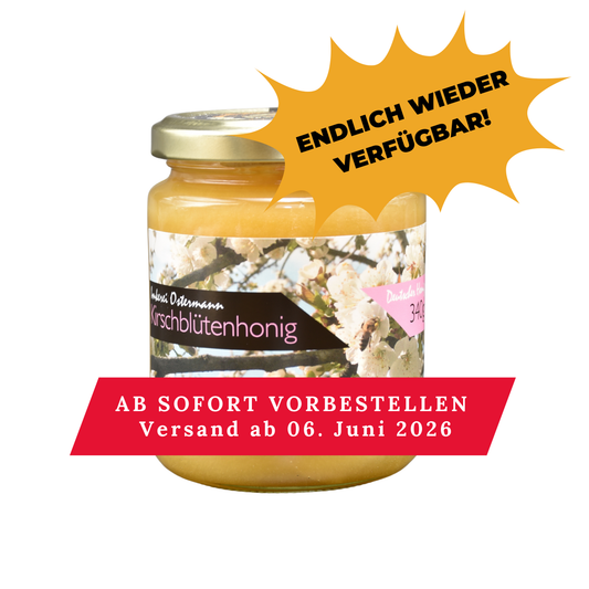 Frisch abgefüllter Kirschblütenhonig im 150g Glas der Imkerei Ostermann. Ab sofort vorbestellen, Versand erfolgt ab 6. Juni 2026!