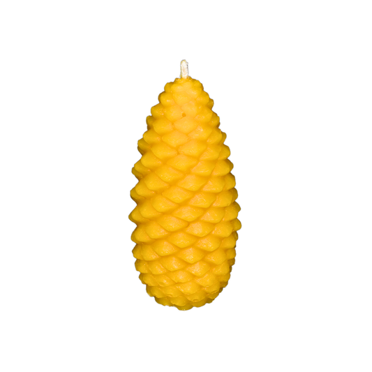 Kerze Zapfen groß