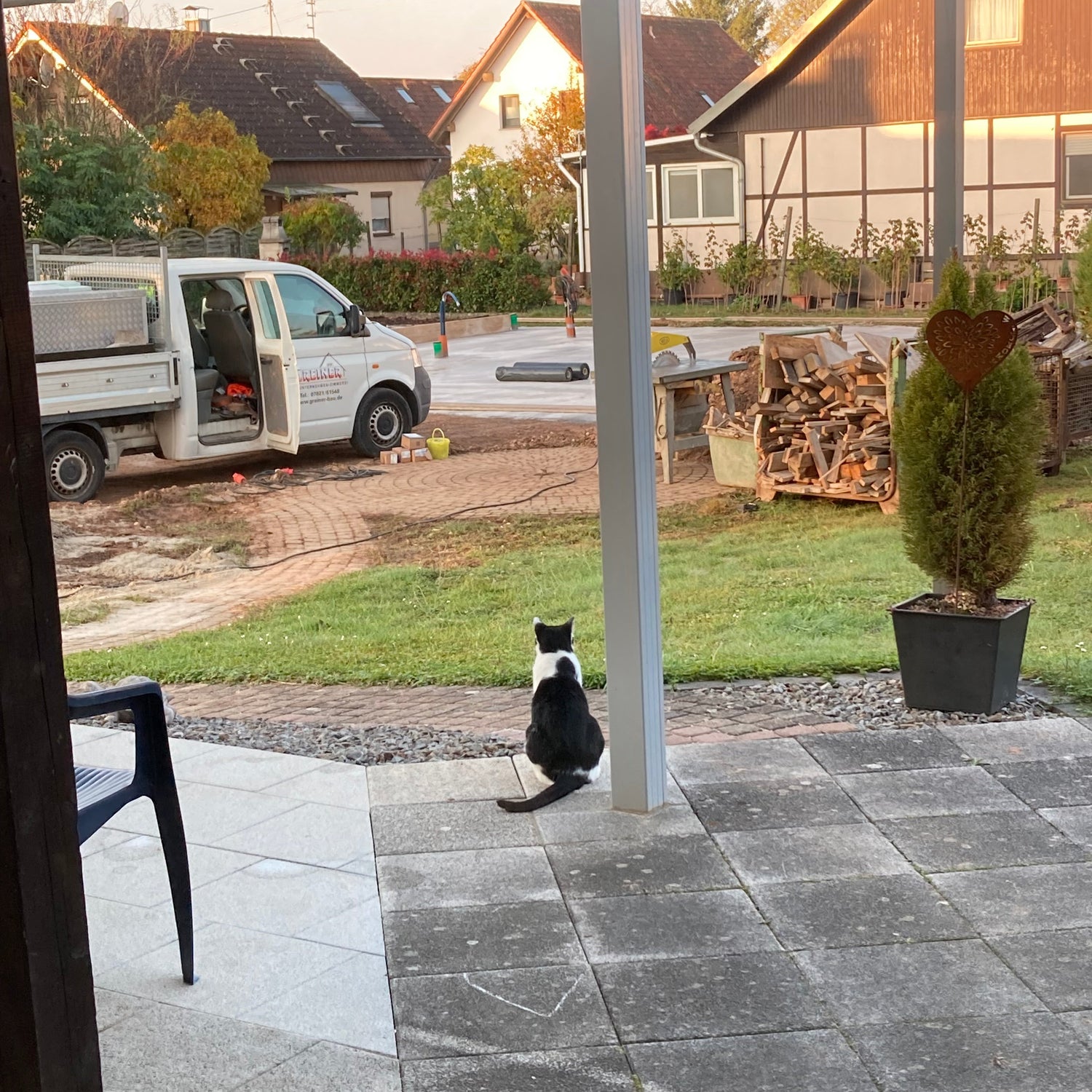 Kater Gismo, der selbsternannte Bauleiter und die gute Seele der Imkerei Ostermann, während der Bauphase.