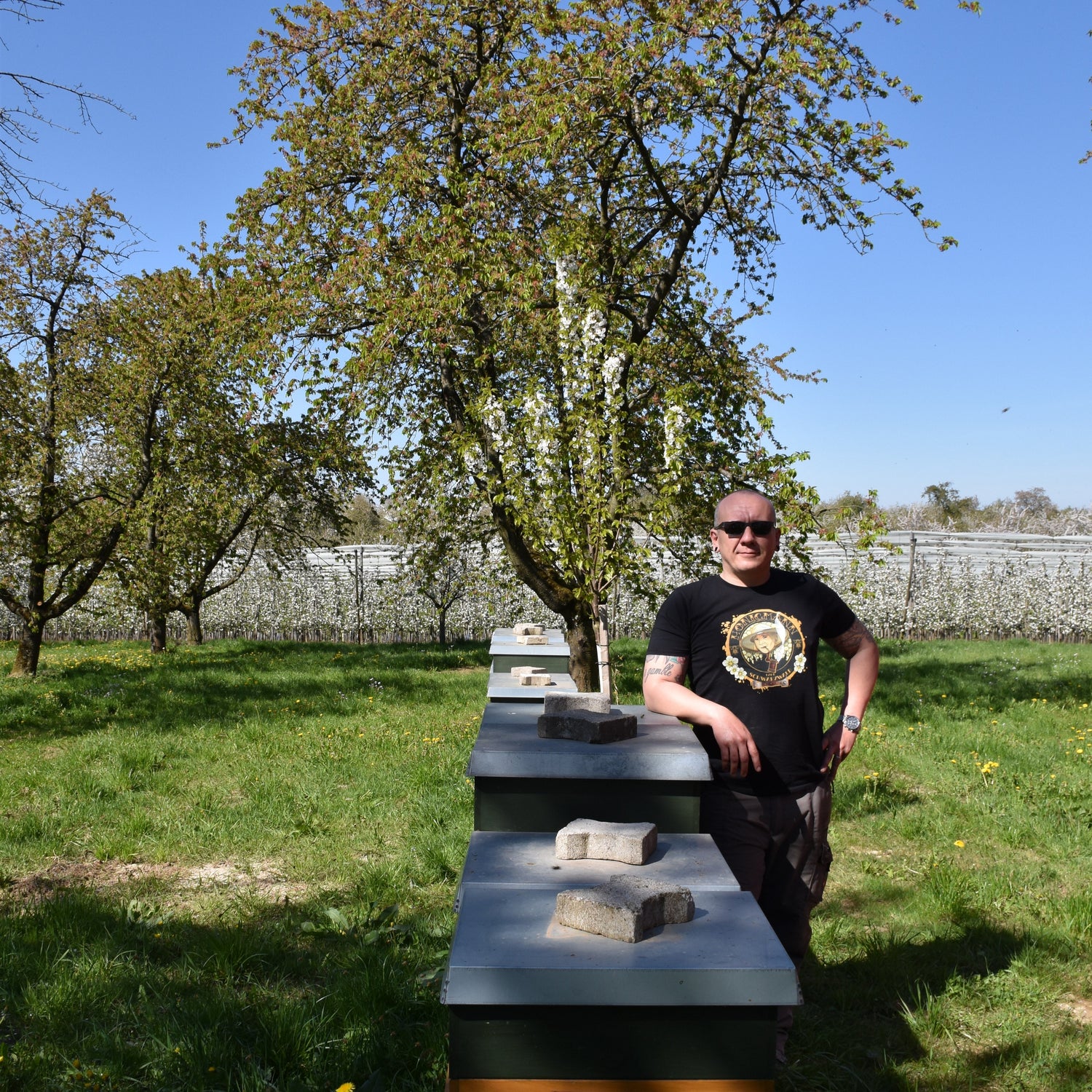 Timo Ostermann, Imker und Geschäftsführer der Familienimkerei im Schwarzwald, bei der Arbeit mit einem Bienenvolk.